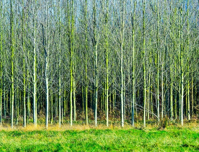 Smart Field Management